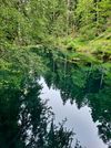  - Vorschau